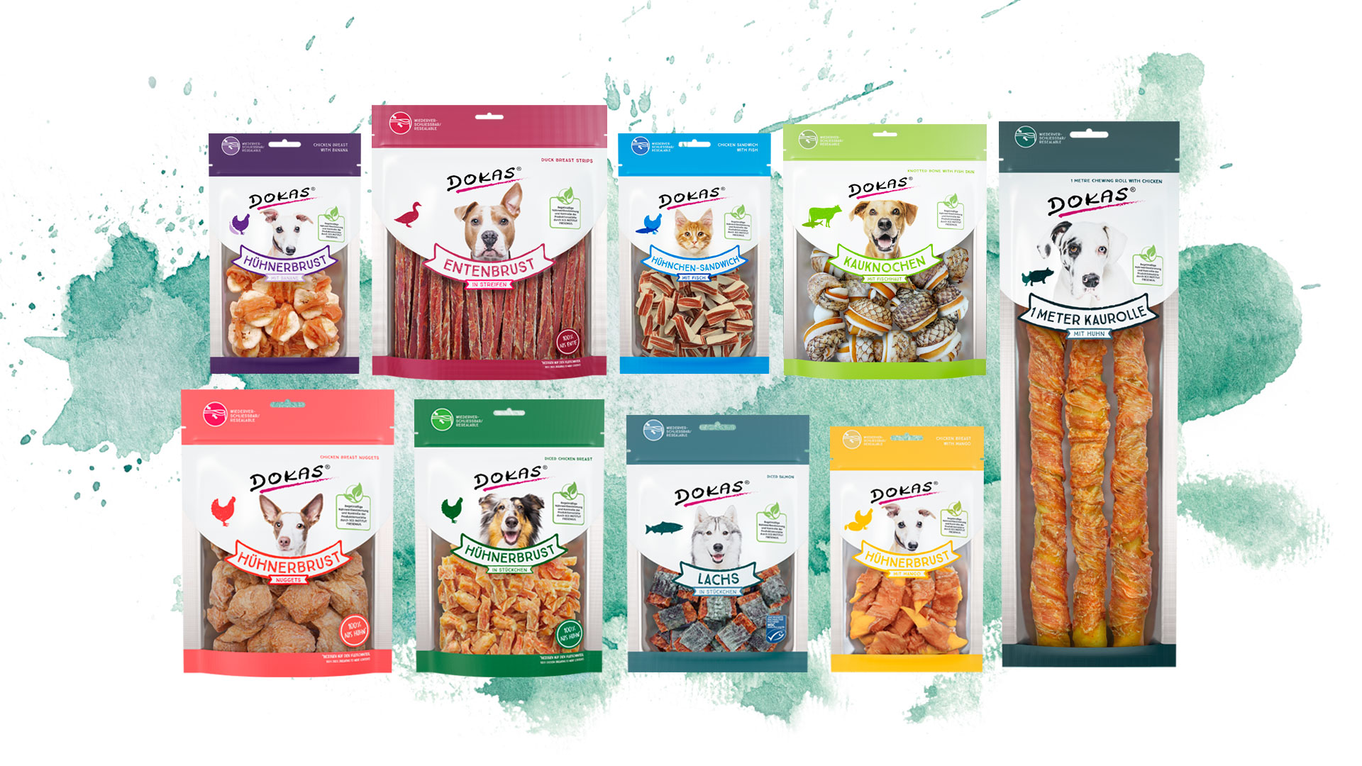 Übersicht von Verpackung für Hundesnacks vor farbigen Hintergrund